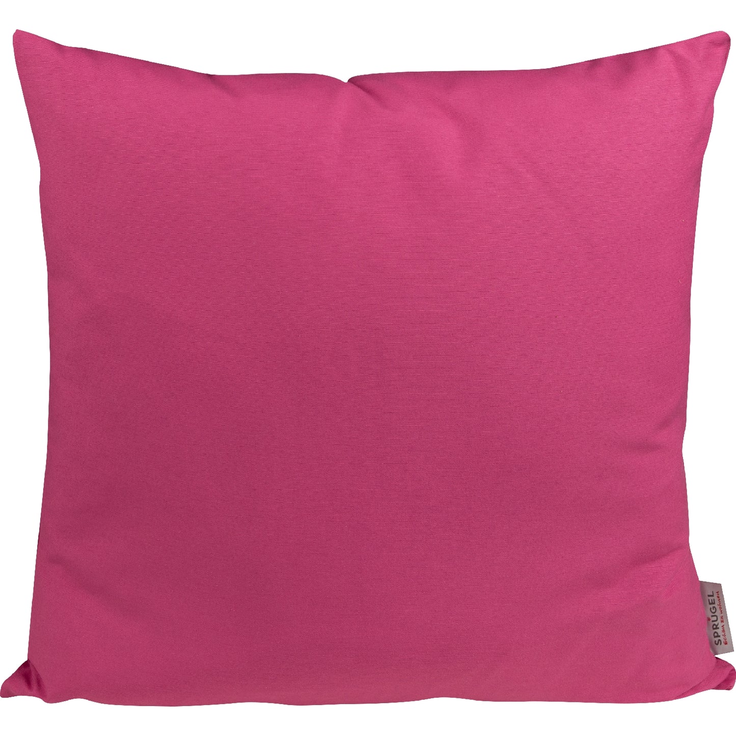 lustiges Kissen Paparazzi Rat