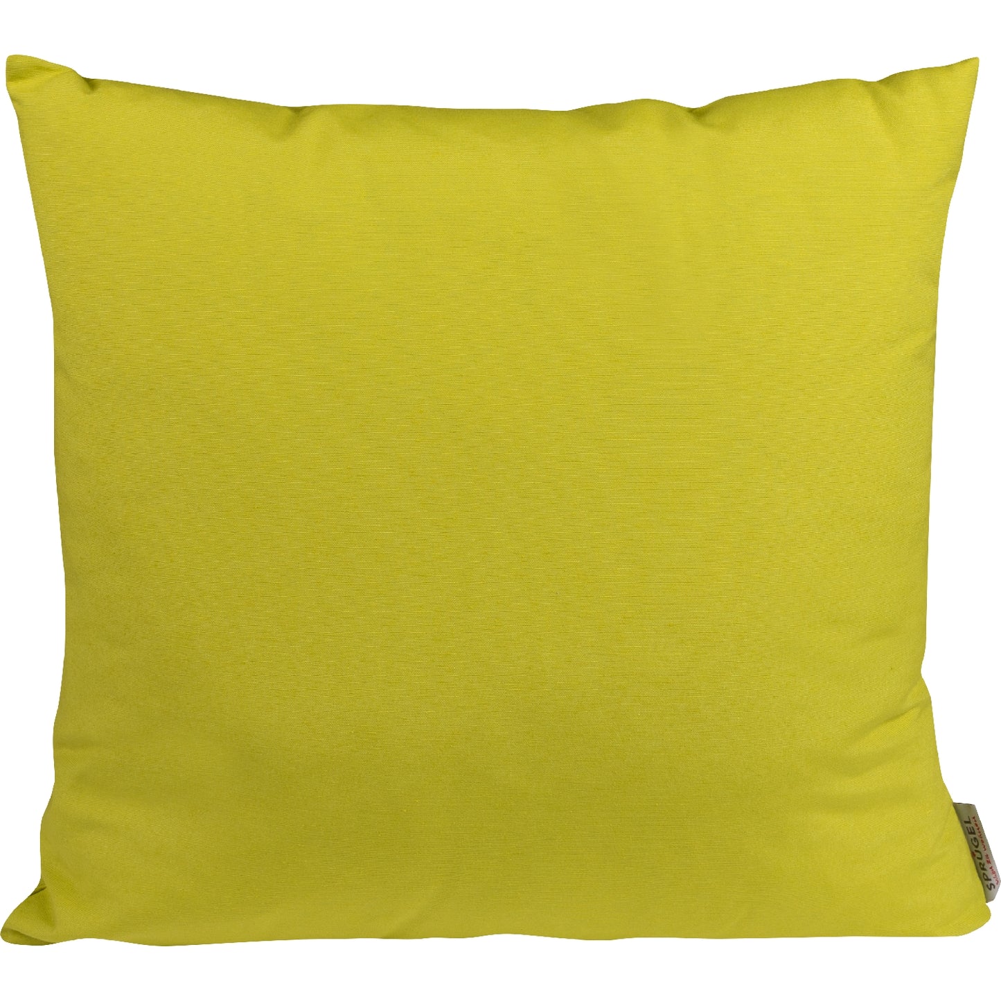 lustiges Kissen Chrome Dog