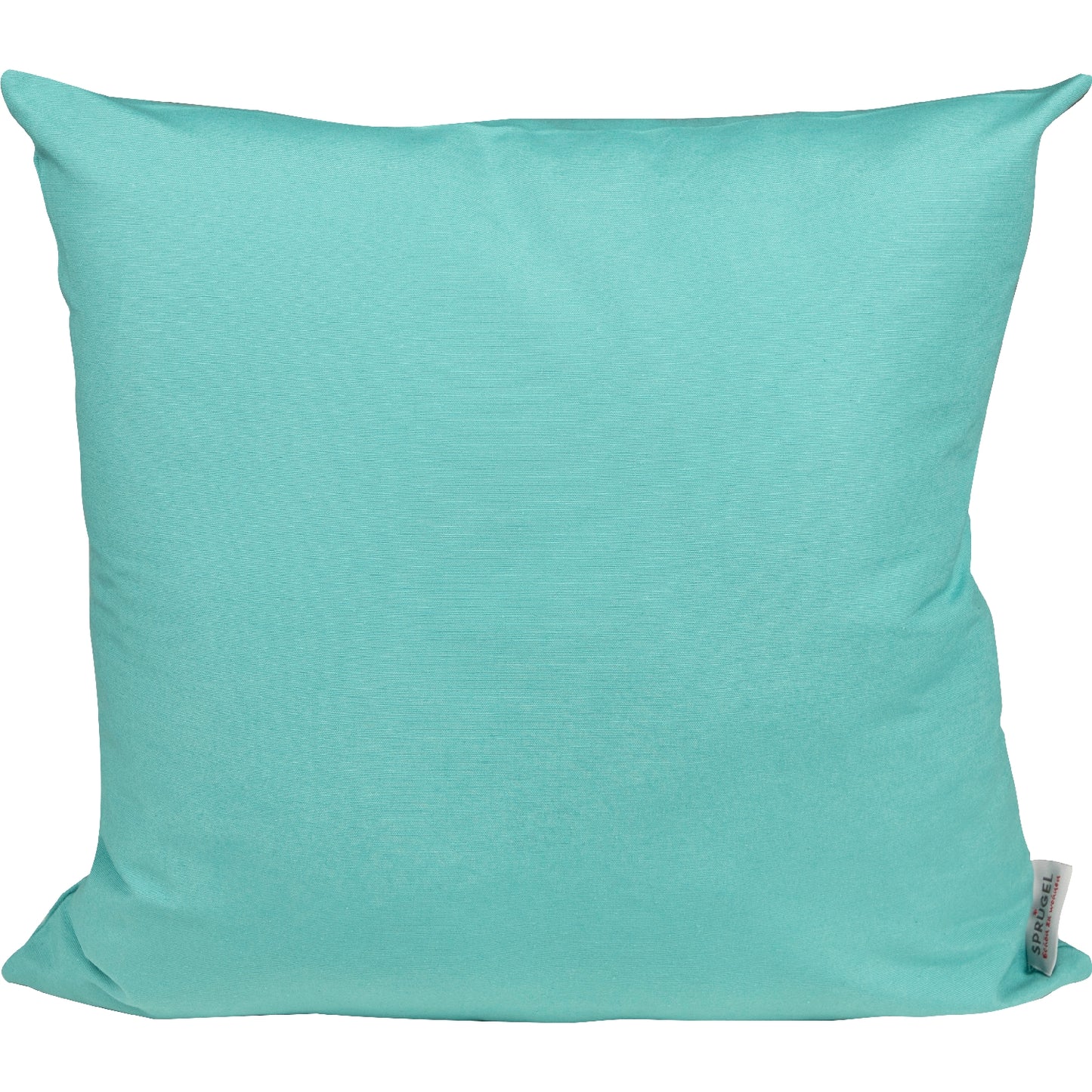 lustiges Kissen Chrome Cat