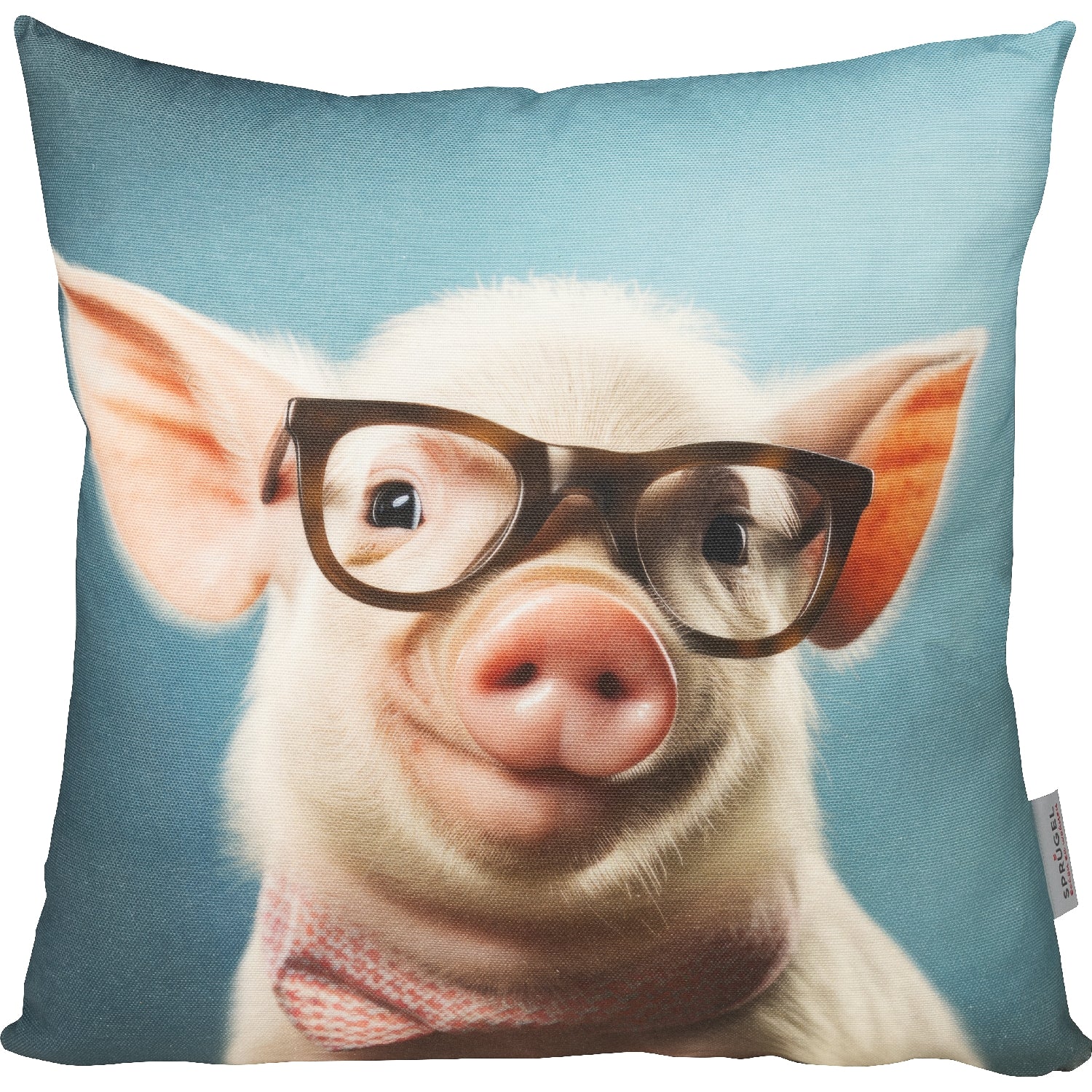 lustiges Dekokissen mit einem klugen Schwein und Brille