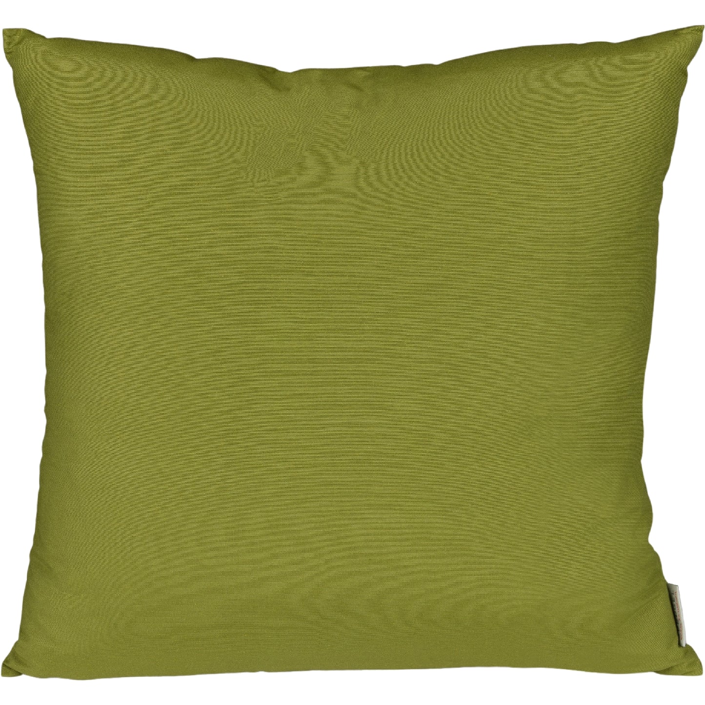 lustiges Dekokissen Kiss me Frog